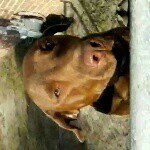 reginald nesbitt - @nesbitt.r - Instagram