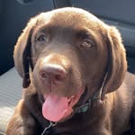 Reginald Maze Newman - @regie_the_veggie - Instagram