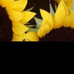 @reginald_newman - Instagram