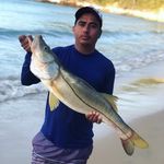 Nicolas Rodrigues - @reginaldo_nicolas - Instagram