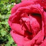 Reginald Blinder Odell - @odellreginald - Instagram