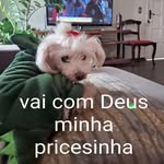 Reginaldo de Negri - @reginaldodenegri - Instagram