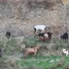 Reginaldo Ohara - @reginaldo.ohara - TikTok