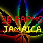 reginald owens - @3bcbdfarmsreg - Instagram
