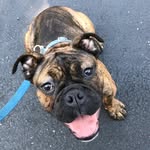 Sir Reginald Pecksniff - @sirreginaldpecksniff - Instagram