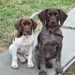 Remington and Reginald Peoples - @gsp_remingtonandreginald - Instagram