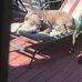 Reggie Perkins - Facebook