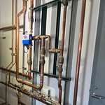 Reginald Lathers - @regthemasterplumber - Instagram