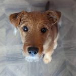 Reginald - @reginald.roo.randle - Instagram