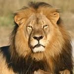 Reginald Reddick - @reddickreginald - Instagram