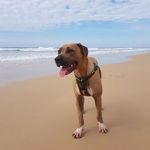 REGINALD KENNETH RICHARDS - @wreck__it__reg - Instagram