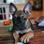 @reginald_rocks - Instagram