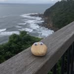 Reginald the Rock - @reginald.the.rock - Instagram