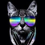 Reginald Roland Wolff - @reginaldwolff - Instagram