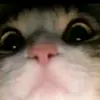 Reginald Slaughter - @reginaldslaughter4921 - TikTok