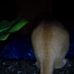 Reginald Stringfellow - Facebook