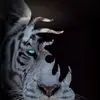 reginaldsutton6 - @reginaldsutton6 - TikTok