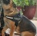 Reginald Tyler - Facebook