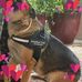 Reginald Tyler - Facebook