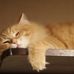 Reginald Tyler - Facebook