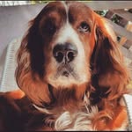 Reginald Whitaker - @xtortion179 - Instagram