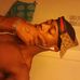 Reginald Wilder - Facebook
