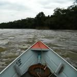 Reginaldo Gonzalez - @regisagonzalez - Instagram
