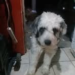 Reginaldo Martinez - Facebook