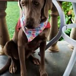 Reginaldo Martinez - @reginaldomartinezro - Instagram