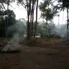 reginaldo silva - @reginaldosilva325 - TikTok