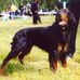 Regine Benoit - Facebook