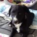 Regine Benoit - Facebook