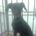 Regla Prieto - Facebook