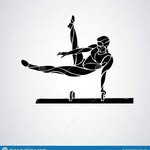 rehan - @rehanjohn_gymnast - Instagram