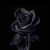 Daisy Abbott Reid - @daisy.abbott.reid - TikTok