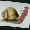 Reid Barber799 - @snail_king69 - TikTok