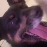 Carter Reid - @carterreid_56 - Instagram