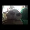 Carter Reid - @carterreid1 - TikTok