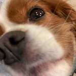 Reid Fox - @reid_fox0116 - Instagram