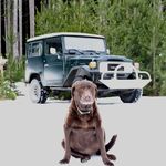 Reid Graham - @_reidgraham - Instagram