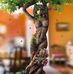 Reed Green - Facebook