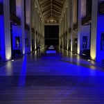 Reid hall - @reid_hall99 - Instagram