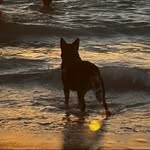 Reid - @reid.halll - Instagram
