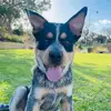 reidhall - @reid.halll - TikTok
