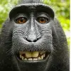🐵 - @reid.harmon4 - TikTok