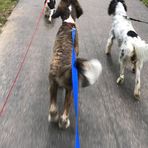 Reid Harmon - Facebook