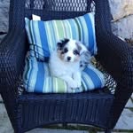 Shirley Reid Howell - @peachieone - Instagram