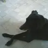 Barbara Klein-Reid - @barbara.kleinreid - TikTok