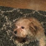 Reid Knapp - Facebook