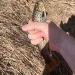 Reid Knapp - @reid.w.knapp - Instagram